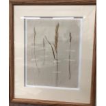 A set of four framed 19th century pressed grass studies with handwritten labels (4)