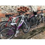 Assorted bicycles; Raleigh childs 'Starz'; Felt QX70; Apollo 'Phaze'; Falcon Explorer; Trex;