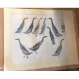 Patricia Low - India Runner ducks, watercolour, signed