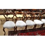 Seven rosewood balloon back dining chairs - five Victorian and two later reproductions