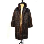 A dark brown shadowed musquash fur coat, 51 cm across chestTwo small tears to shoulder/collar area