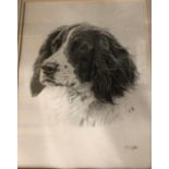 A J Gadd - Four fine drawings - River Itchen, dog studies of a spaniel, three spaniels on a bench,