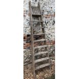 A vintage orchard/picker's folding step ladder