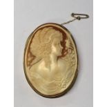 A large carved shell cameo featuring lady with ornate hair, garland of flowers and winged dove,