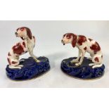 A pair of 19th century Staffordshire models of seated hunting hounds 'chained' to a blue oval