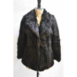 A dark brown coney fur jacket, 50 cm across chestFur balding to opening edges