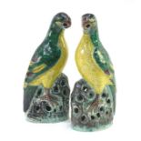 A pair of susancai decorated figures of parrots; one looking to the right and one looking to the