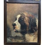 G Stanley Read - Portrait study of a St Bernard dog, oil on board, signed and dated 1953 lower left,
