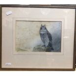 George Edward Lodge (1860-1954) - A Peregrine Falcon on a rocky outcrop, watercolour, signed lower
