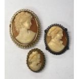 A large oval shell cameo of a lady in profile with elaborate hair, in yellow metal mount stamped 750