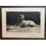 Herbert Thomas Dicksee (1862-1942) -  'Ready', Fox terrier with ball, etching, pencil signed to