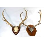 Two pair of mounted antlers