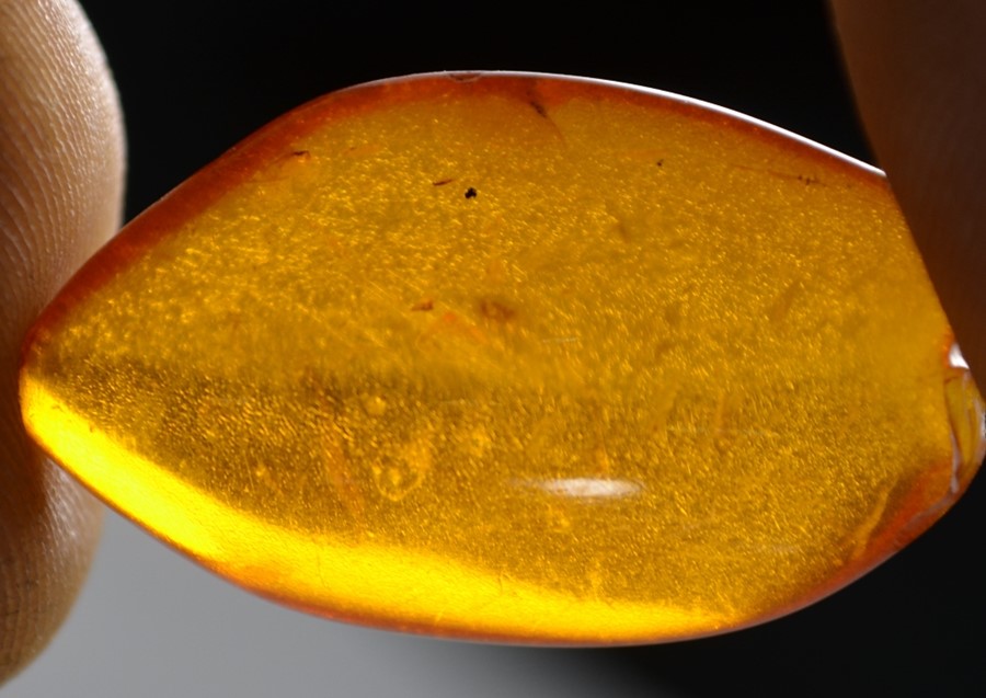 A single row of amber beads - Image 3 of 8