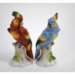 A pair of Sitzendorf porcelain parakeets