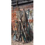 A large collection of wooden handled gardening tools including spades, shovels, forks, axes,