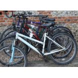 Five various bikes including Tiger Classic, Raleigh ladies bike, Apollo mountain bike etc. [