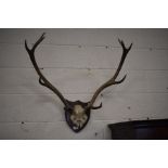 A pair of stag antlers mounted on wooden shield marked Breabag, Blnmore 24/5/50
