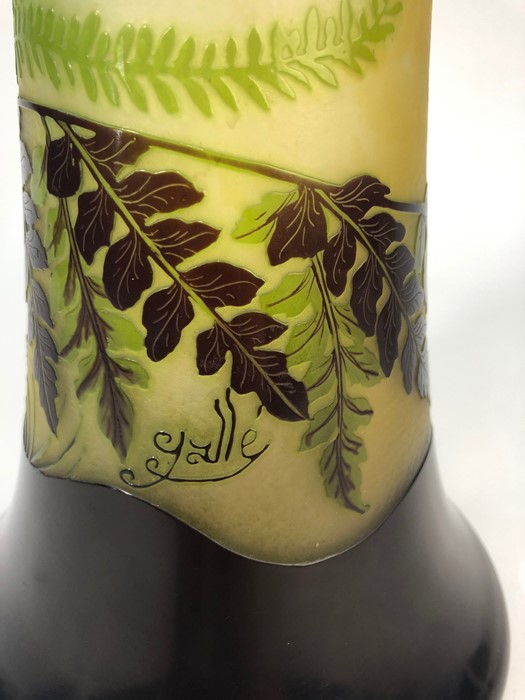 Emille Galle tall Art Nouveau glass vase decorated with ferns - Image 4 of 9