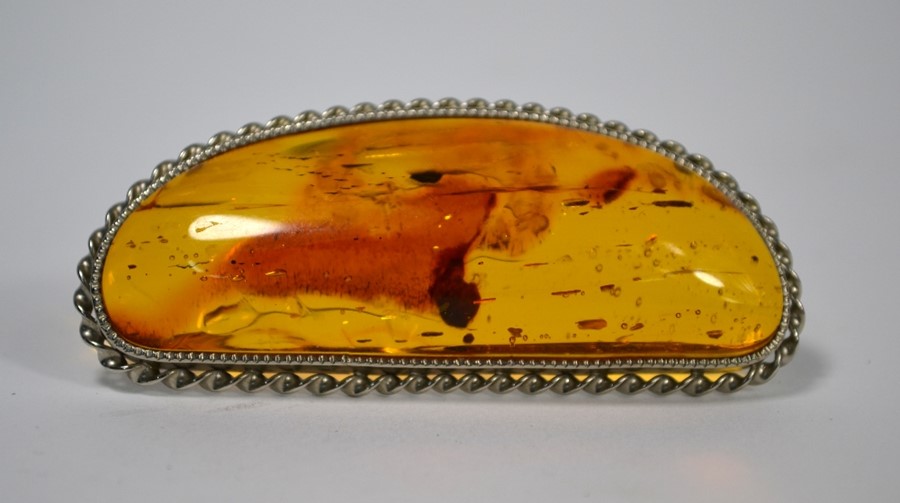 An amber brooch