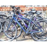 Five various mountain bikes including Barracuda, Apollo, Raleigh, Specialised (missing front