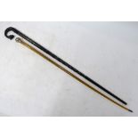 An antique horn walking cane and an ebony walking stick