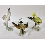 Three Hutschenreuther porcelain models of birds