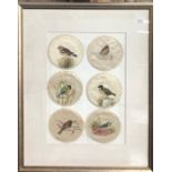Six antique silk roundels painted with garden birds, and a Margaret Tarrant nursery print (2)