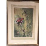 Barry Sketchley - Fine watercolour studies of butterflies, signed
