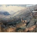 An Archibald Thorburn limited edition print numbered 135, pub Tryon Gallery 1975