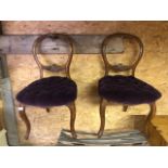 Pair Victorian walnut framed side chairs (2)