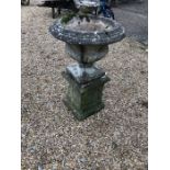 A Georgian style weathered cast stone urn planer on square pedestal base