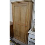 A tall but shallow pine hall cupboard with single full length panelled door