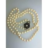 A long row of uniform cultured pearls