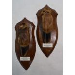 Two deer's foot hunting trophies on oak shields