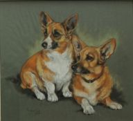 Marjorie Cox A pair of Corgis Pastels Signed and dated 1965 45 x 49.