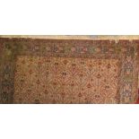 A Shirvan room size rug approximately 269 x 200 **Purchased from Karel Weijand in Oct 1997 for