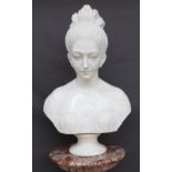 A white marble bust of a young lady,