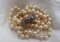 A pearl necklace,