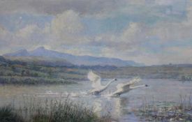 C Marks Swans in flight Watercolour and pastels Signed Together with a collection of paintings