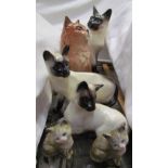 Three Beswick Siamese cats together with three other Beswick cats