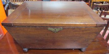 A 19th century mahogany cellarette of sarcophagus form with lion head handles on ball feet,