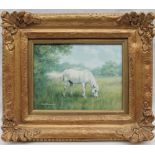 Glynn Williams White pony in a landscape Oil on board Signed 15 x 20cm ***Artists resale rights