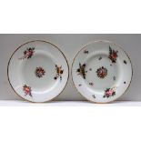 A Pair of Nantgarw porcelain plates,