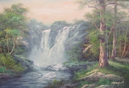 R Danford A waterfall scene Oil on canvas Signed