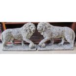 A pair of reconstituted stone lions with foot resting on a ball on rectangular bases
