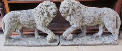 A pair of reconstituted stone lions with foot resting on a ball on rectangular bases