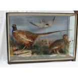 Taxidermy - A cock pheasant, grouse and a tern in a naturalistic setting and glazed case,