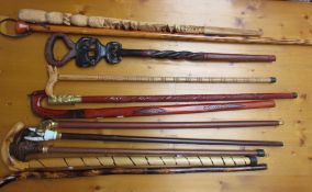 A collection of walking sticks with various ends