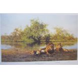 David Shepherd African Evening Zambezi water hole Limited edition print No.