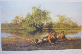David Shepherd African Evening Zambezi water hole Limited edition print No.